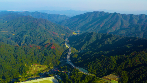 中鐵一局五公司兩項工程榮獲全國綠色建造水...